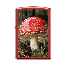 Zippo Lighter - Aminita Mushroom - Candy Apple Red